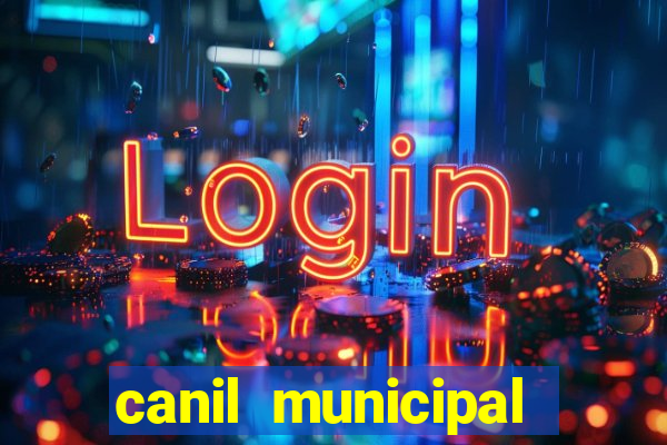 canil municipal porto alegre